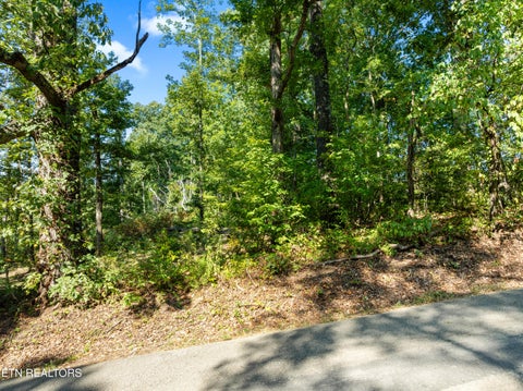 Tiny photo for 3951 Strong Rd, Mascot, TN 37806 (MLS # 1356275)
