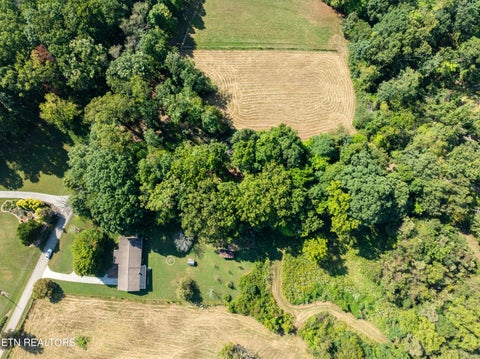 Tiny photo for 3951 Strong Rd, Mascot, TN 37806 (MLS # 1356275)