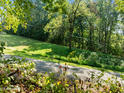 Tiny photo for 3951 Strong Rd, Mascot, TN 37806 (MLS # 1356275)