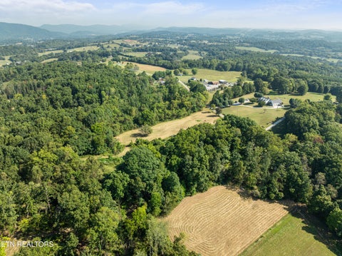 Tiny photo for 3951 Strong Rd, Mascot, TN 37806 (MLS # 1356275)