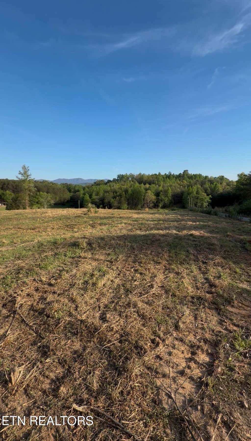 Photo of Lot 10 &amp; 11 Curtis Rd, Tellico Plains, TN 37385 (MLS # 1348135)