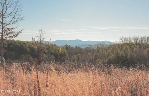 Photo of Lot 10 & 11 Curtis Rd, Tellico Plains, TN 37385 (MLS # 1348135)