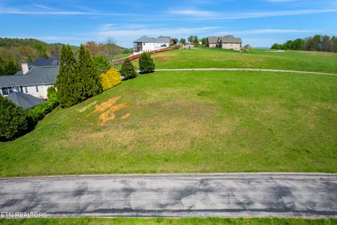 Tiny photo for 150 Wildwing Drive, Vonore, TN 37885 (MLS # 1334880)