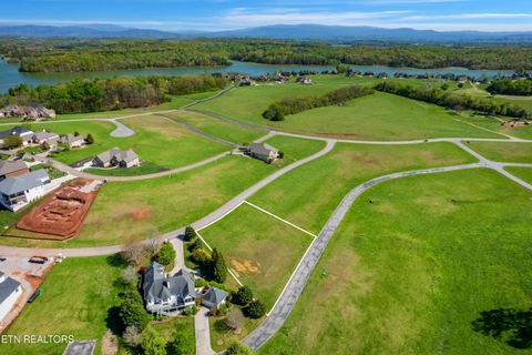 Tiny photo for 150 Wildwing Drive, Vonore, TN 37885 (MLS # 1334880)