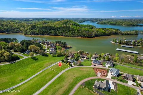 Tiny photo for 150 Wildwing Drive, Vonore, TN 37885 (MLS # 1334880)