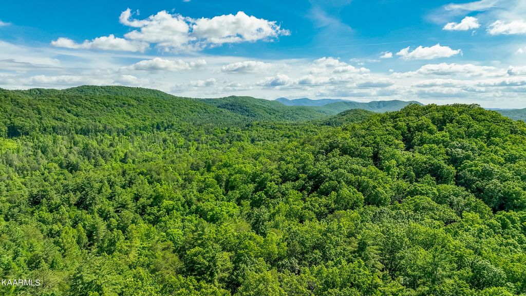 Photo of 000 Cooper Hollow Rd, Tellico Plains, TN 37385 (MLS # 1227694)