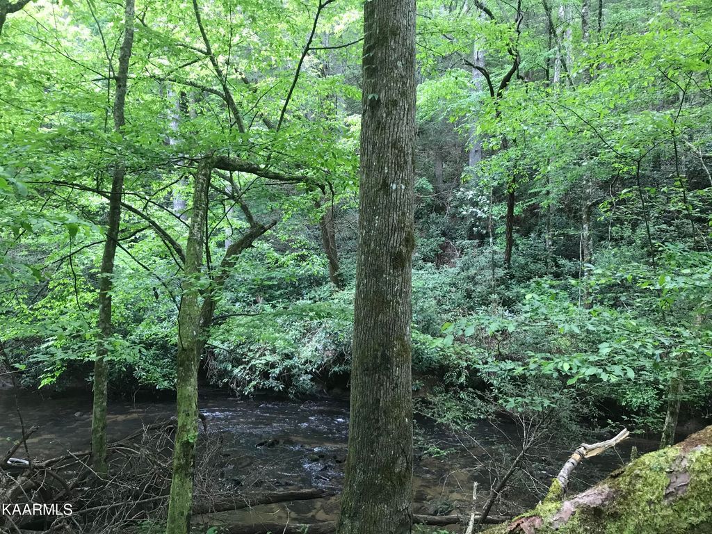 Photo of 000 Cooper Hollow Rd, Tellico Plains, TN 37385 (MLS # 1227694)