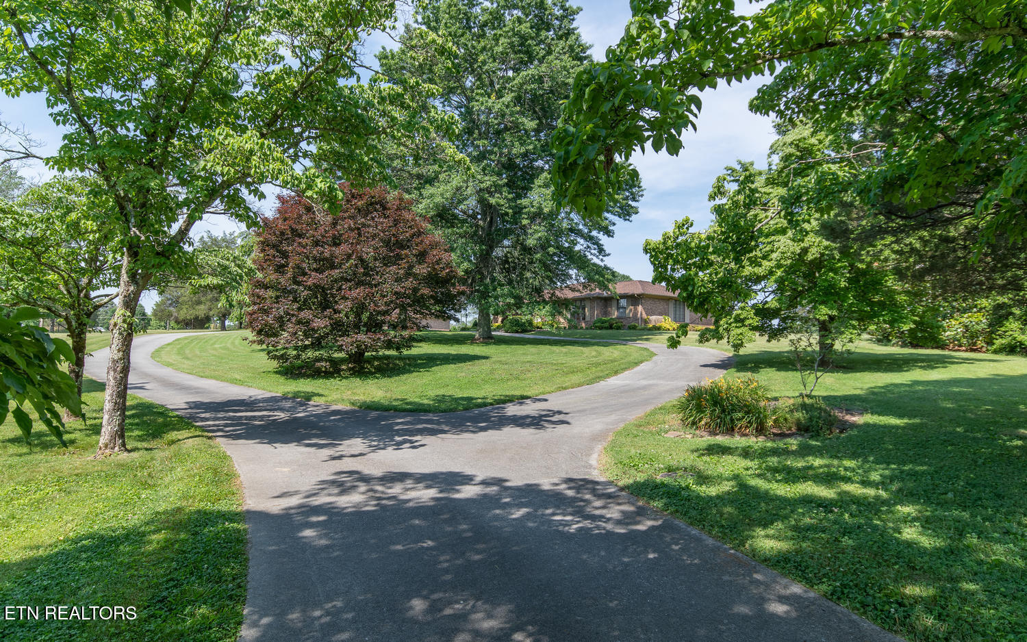 8019 Washington Pike