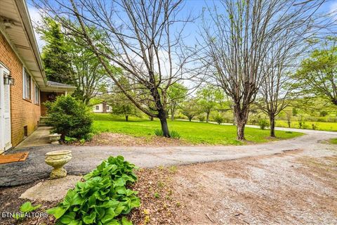 Tiny photo for 1851 Seals Rd, New Tazewell, TN 37825 (MLS # 1336772)