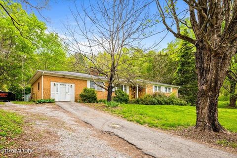 Tiny photo for 1851 Seals Rd, New Tazewell, TN 37825 (MLS # 1336772)