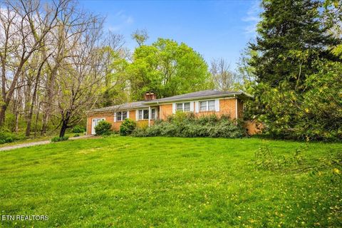 Tiny photo for 1851 Seals Rd, New Tazewell, TN 37825 (MLS # 1336772)