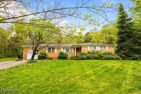 Tiny photo for 1851 Seals Rd, New Tazewell, TN 37825 (MLS # 1336772)