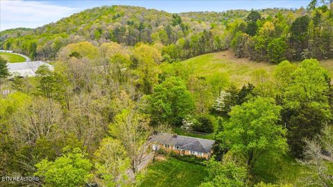 Tiny photo for 1851 Seals Rd, New Tazewell, TN 37825 (MLS # 1336772)