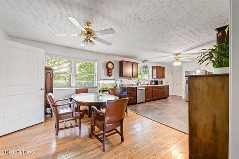 Tiny photo for 1851 Seals Rd, New Tazewell, TN 37825 (MLS # 1336772)