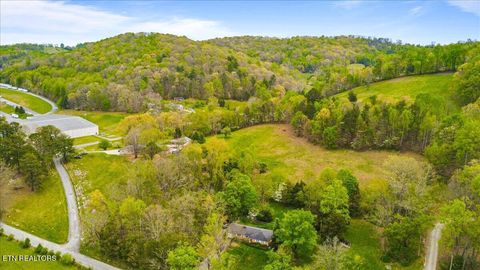 Tiny photo for 1851 Seals Rd, New Tazewell, TN 37825 (MLS # 1336772)