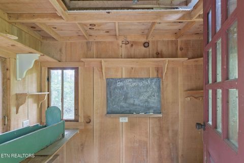 Tiny photo for 114 Pam Lane, Townsend, TN 37882 (MLS # 1331170)