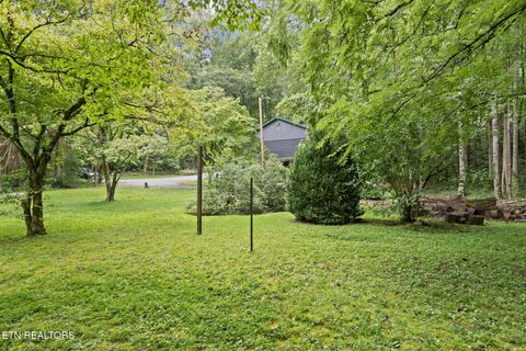 Tiny photo for 114 Pam Lane, Townsend, TN 37882 (MLS # 1331170)