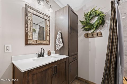 Tiny photo for 114 Pam Lane, Townsend, TN 37882 (MLS # 1331170)