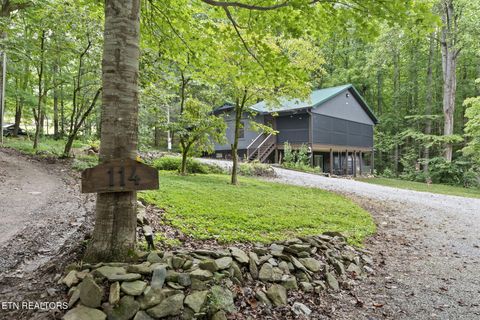 Tiny photo for 114 Pam Lane, Townsend, TN 37882 (MLS # 1331170)
