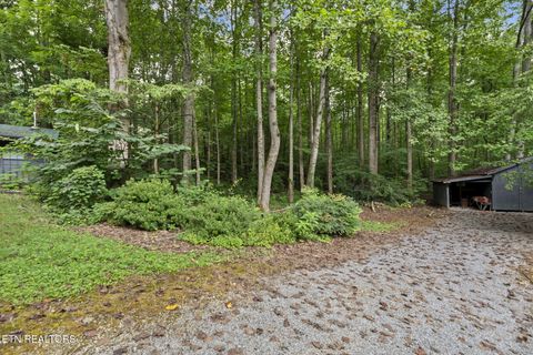 Tiny photo for 114 Pam Lane, Townsend, TN 37882 (MLS # 1331170)