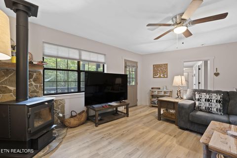 Tiny photo for 114 Pam Lane, Townsend, TN 37882 (MLS # 1331170)