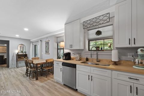 Tiny photo for 114 Pam Lane, Townsend, TN 37882 (MLS # 1331170)