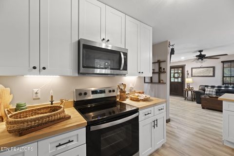 Tiny photo for 114 Pam Lane, Townsend, TN 37882 (MLS # 1331170)