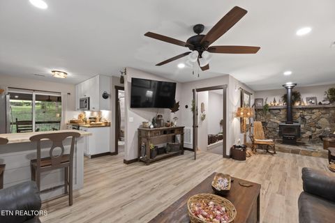 Tiny photo for 114 Pam Lane, Townsend, TN 37882 (MLS # 1331170)