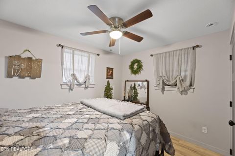 Tiny photo for 114 Pam Lane, Townsend, TN 37882 (MLS # 1331170)