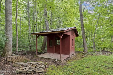 Tiny photo for 114 Pam Lane, Townsend, TN 37882 (MLS # 1331170)