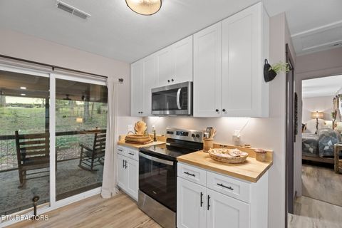 Tiny photo for 114 Pam Lane, Townsend, TN 37882 (MLS # 1331170)