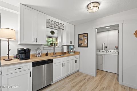 Tiny photo for 114 Pam Lane, Townsend, TN 37882 (MLS # 1331170)