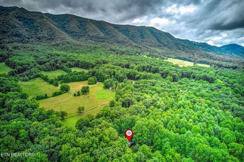 Tiny photo for 114 Pam Lane, Townsend, TN 37882 (MLS # 1331170)