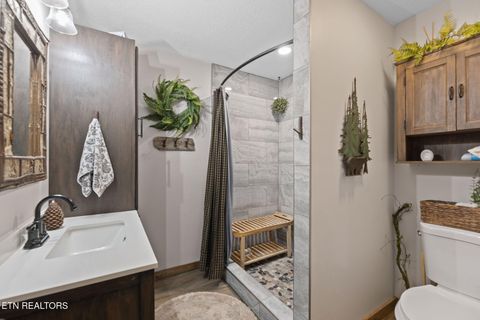 Tiny photo for 114 Pam Lane, Townsend, TN 37882 (MLS # 1331170)