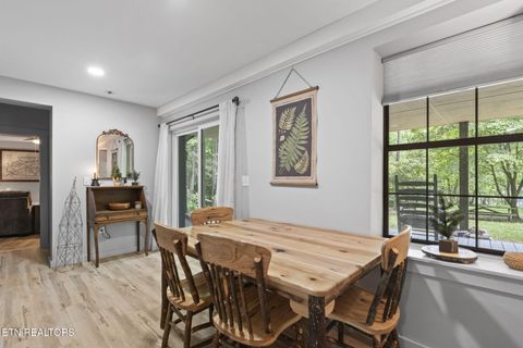 Tiny photo for 114 Pam Lane, Townsend, TN 37882 (MLS # 1331170)