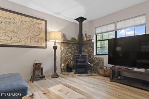 Tiny photo for 114 Pam Lane, Townsend, TN 37882 (MLS # 1331170)