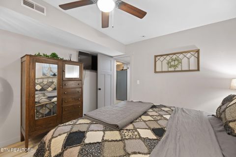 Tiny photo for 114 Pam Lane, Townsend, TN 37882 (MLS # 1331170)