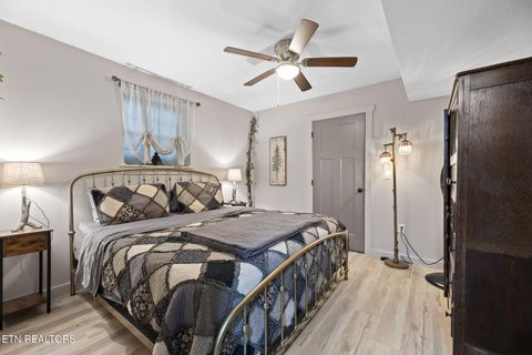 Tiny photo for 114 Pam Lane, Townsend, TN 37882 (MLS # 1331170)