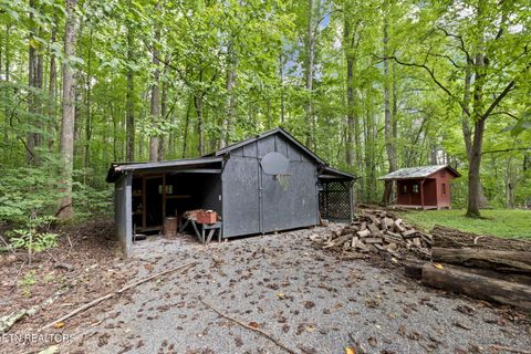 Tiny photo for 114 Pam Lane, Townsend, TN 37882 (MLS # 1331170)