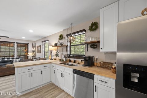 Tiny photo for 114 Pam Lane, Townsend, TN 37882 (MLS # 1331170)