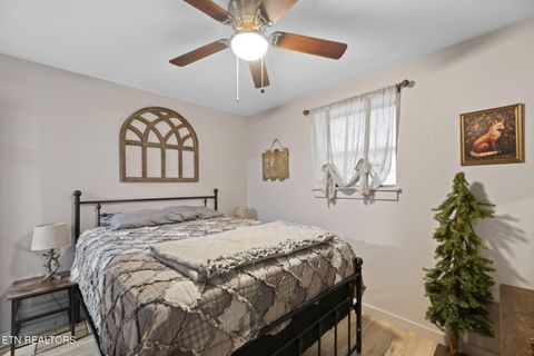 Tiny photo for 114 Pam Lane, Townsend, TN 37882 (MLS # 1331170)