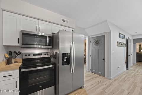 Tiny photo for 114 Pam Lane, Townsend, TN 37882 (MLS # 1331170)