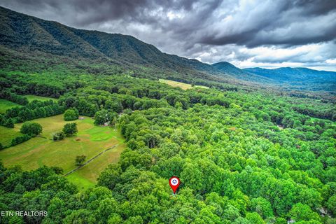 Tiny photo for 114 Pam Lane, Townsend, TN 37882 (MLS # 1331170)