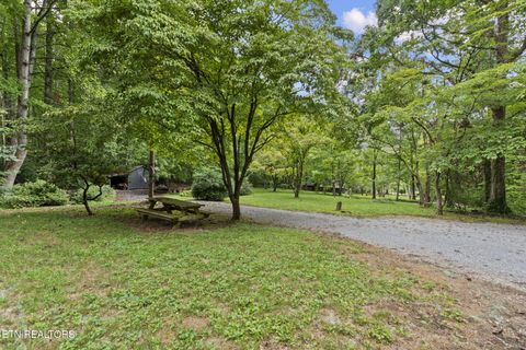 Tiny photo for 114 Pam Lane, Townsend, TN 37882 (MLS # 1331170)