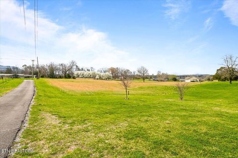 Tiny photo for 9137 E Emory Rd, Corryton, TN 37721 (MLS # 1332706)