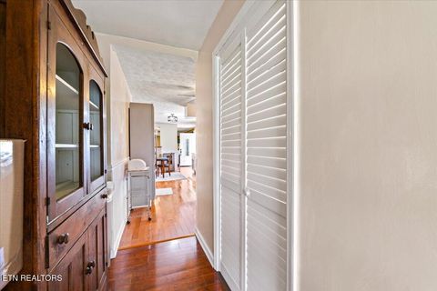 Tiny photo for 9137 E Emory Rd, Corryton, TN 37721 (MLS # 1332706)