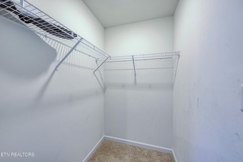 Tiny photo for 136 Ibis Loop, Oak Ridge, TN 37830 (MLS # 1330919)