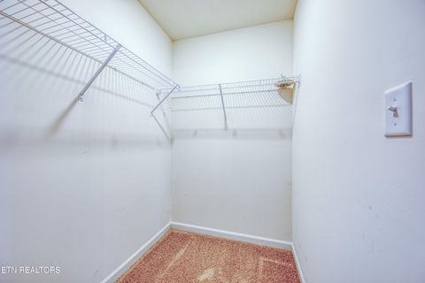 Tiny photo for 136 Ibis Loop, Oak Ridge, TN 37830 (MLS # 1330919)