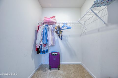 Tiny photo for 136 Ibis Loop, Oak Ridge, TN 37830 (MLS # 1330919)