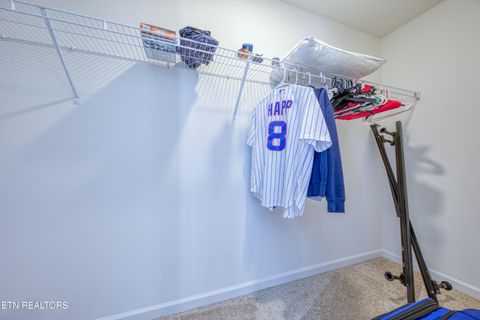 Tiny photo for 136 Ibis Loop, Oak Ridge, TN 37830 (MLS # 1330919)